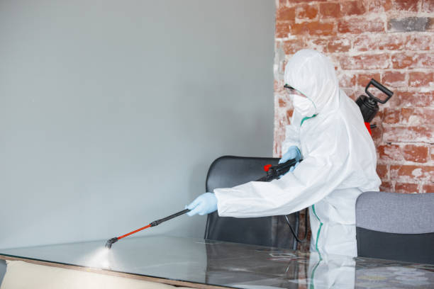 Why You Should Choose Our Mold Remediation Services in Bethpage, NY