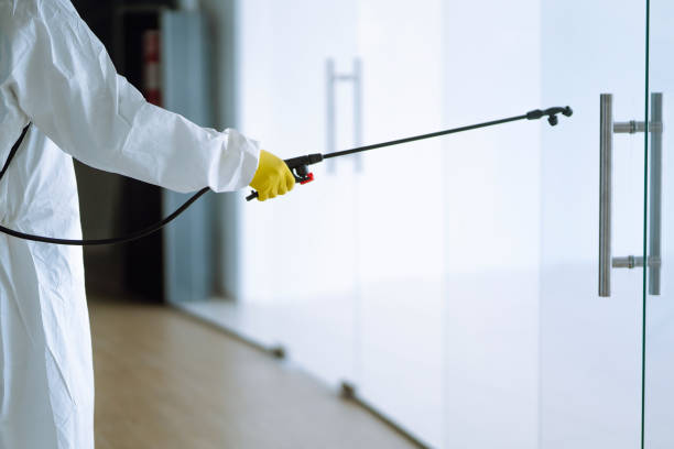 Professional Mold Removal Services in Bethpage, NY